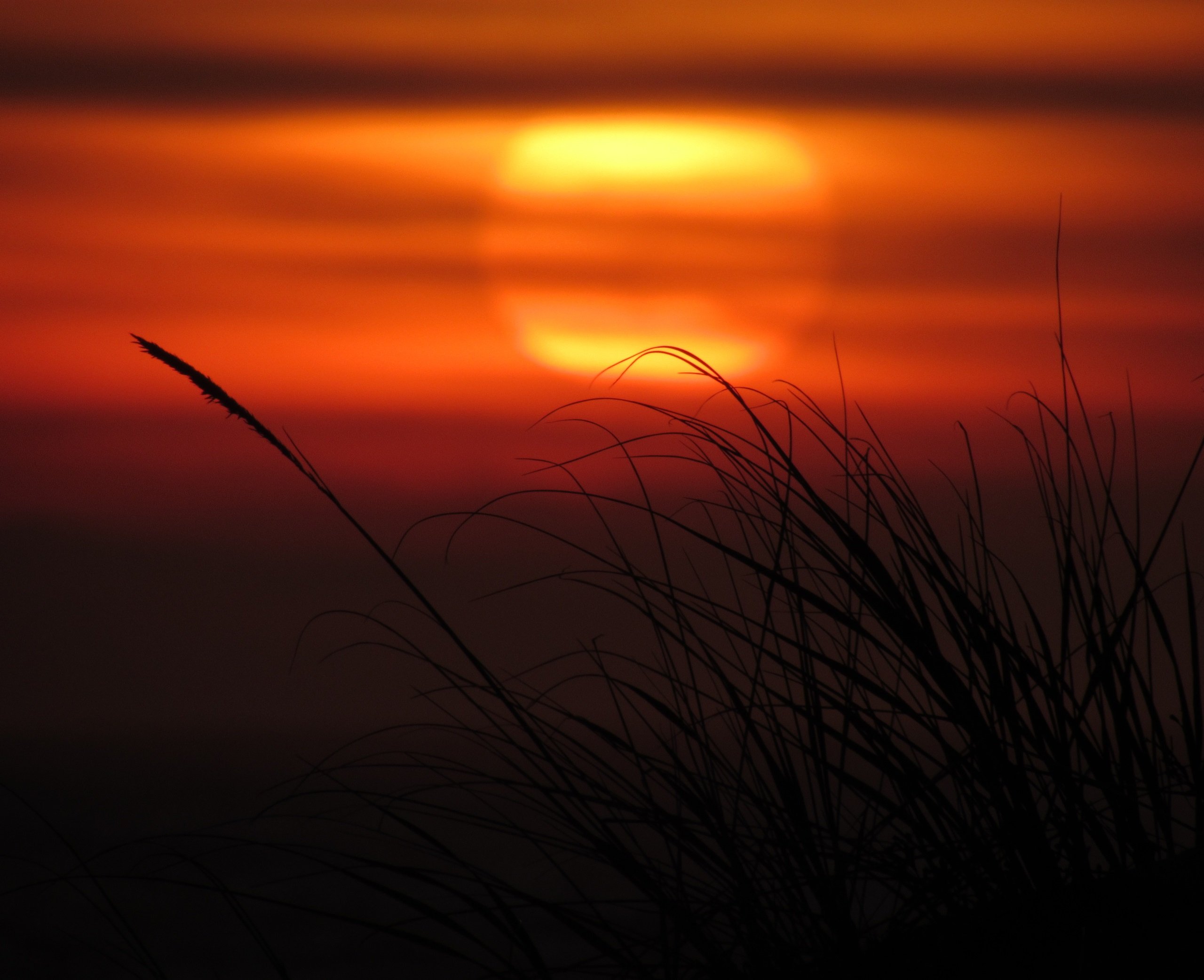 Sole East - Montauk Sunset